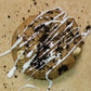 Oreo Addiction (Premium)